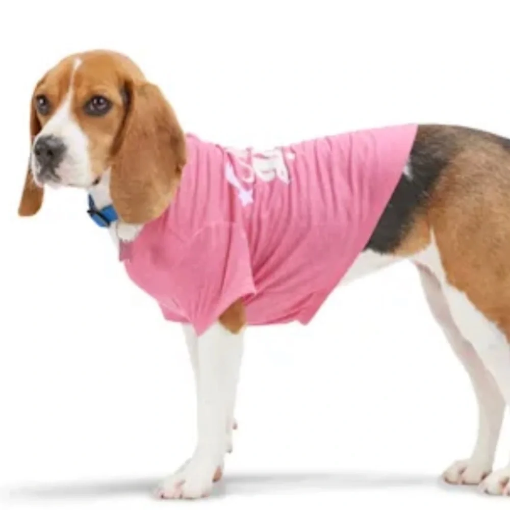 NWT Next Level Diva Dog T-shirt M